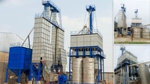 paddy processing plant supplier