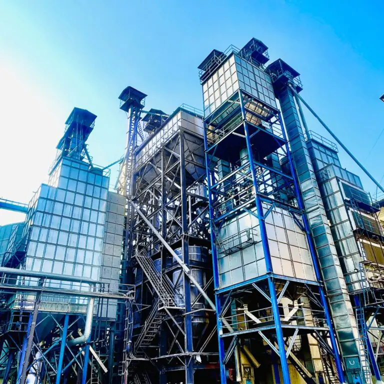 sella rice processing