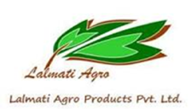 paddy processing plant supplier