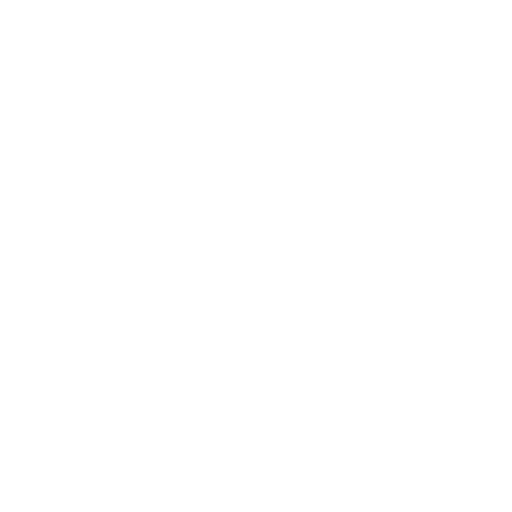 paddy processing plant supplier