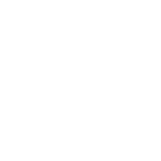 paddy processing plant supplier