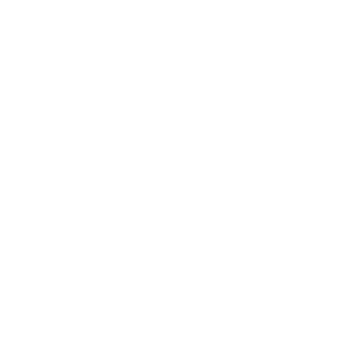 paddy processing plant supplier