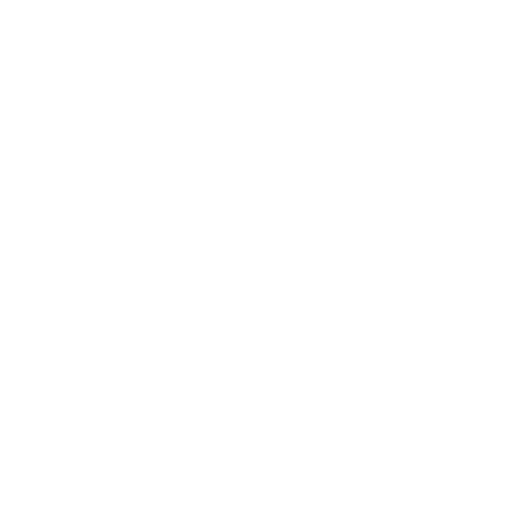 paddy processing plant supplier