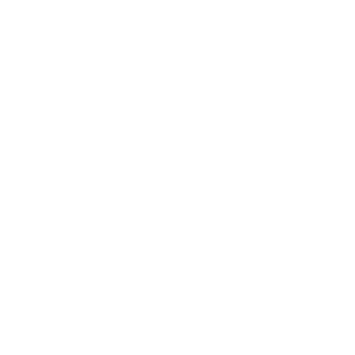 paddy processing plant supplier