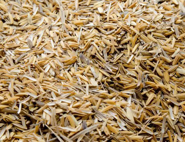 paddy processing plant supplier