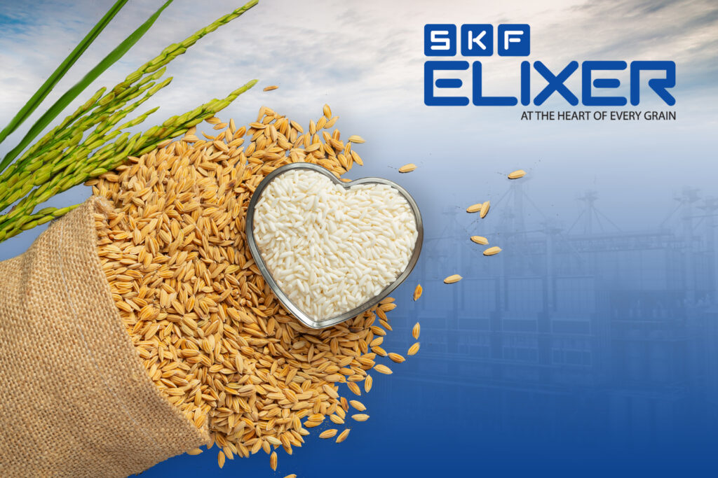 paddy processing plant