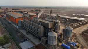 Why invest in paddy parboiling plant machine unit