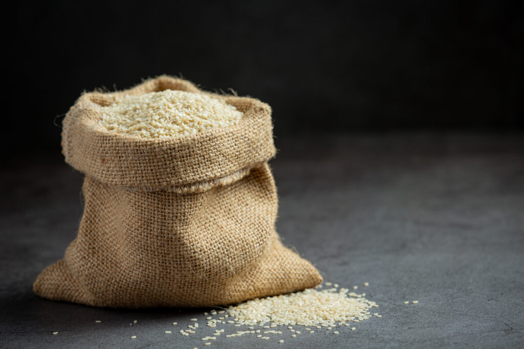 paddy processing plant