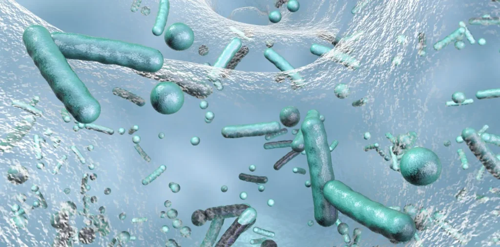 sewage treatment plant