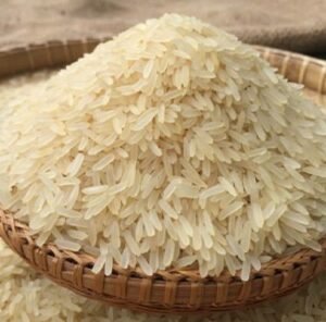 paddy and rice