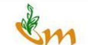 paddy processing plant supplier